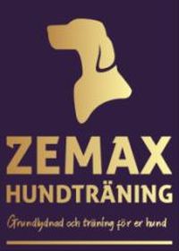 zemax